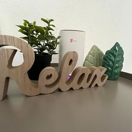 Sehr Schoenes Und Moebliertes Appartement